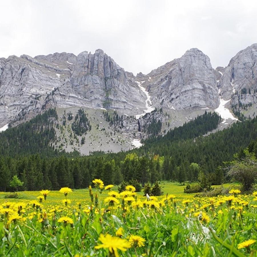 Atic Panoramic A La Seu D'Urgellアパートメント エクステリア 写真